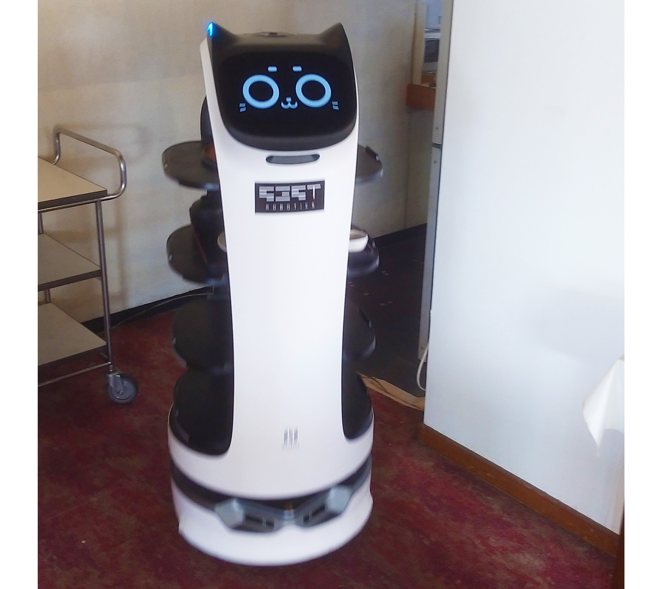 「高評価！」注目のレビュ 猫型ロボット様 づらく 小物
