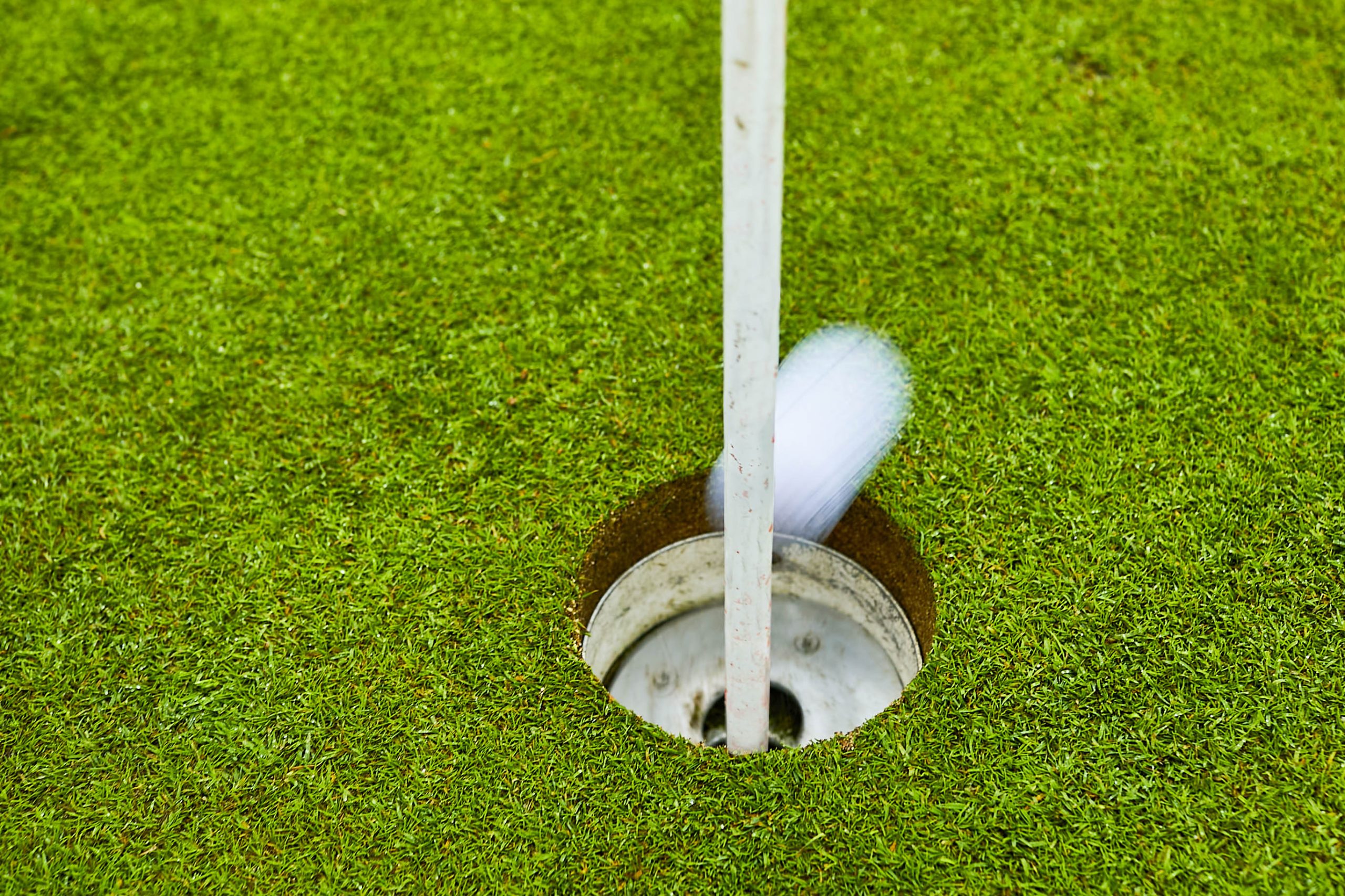 【ゴルルとルール】2打目が直接カップイン! …と思ったら、カップから飛び出てしまった。一度は入ったからイーグルでいいんだよね? Myゴルフ